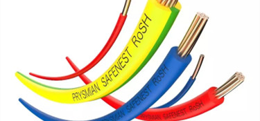 為揭露電線的奧秘，行業裝修專家親赴電線工廠？